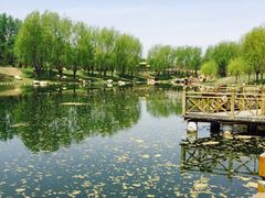 -长春公园(普阳街道)