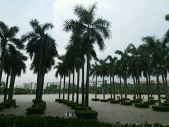 android_upload_pic-广东科学中心