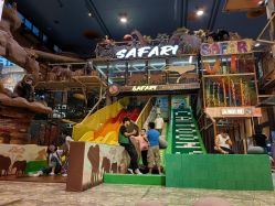 -卡通尼·Safari非洲探索乐园·生日会(金桥国际商业广场店)