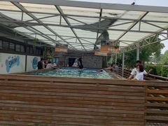 -太阳岛度假酒店