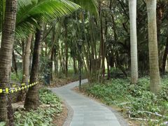 -深圳湾公园(南山区)
