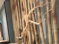 -隐泉之语日式料理(王府中环店)