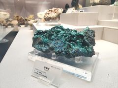 -湖南省地质博物馆
