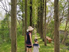 -前小桔亲子创意农场·草莓采摘·露营烧烤