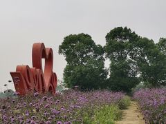 -西京湾花海