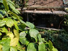 -广州兰圃