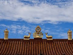 -大召无量寺