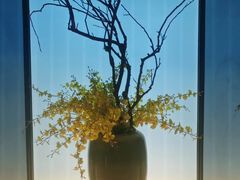 -星漾里•SPA•足道•按摩•养生(吕厝店)