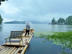 -东湖落雁景区