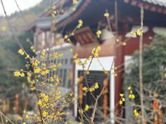 -西安华清御汤酒店