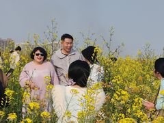 -洋湖国家湿地公园