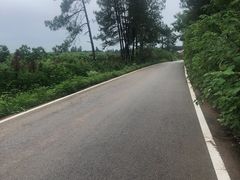 -鄱阳湖国家湿地公园