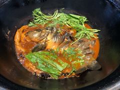 -白洋淀灶台鱼(名佳花园店)