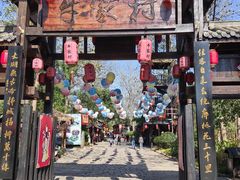 -合肥滨湖国家森林公园