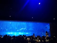 -华夏文旅海洋公园