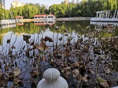 -丰台花园