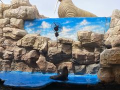 -华夏文旅海洋公园