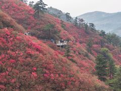 -木兰云雾山