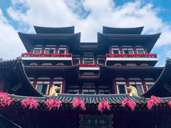 -新加坡佛牙寺龙华院