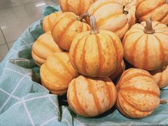 -达美乐比萨(肖家河店)