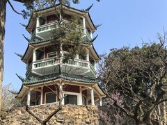 -无锡梅园公园