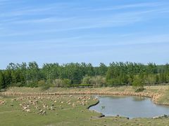 -溱湖国家湿地公园