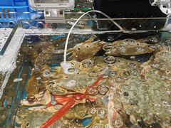 -盒马鲜生(皇庭广场店)