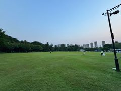 -青枫公园
