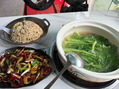 -蘑统田下·野生菌火锅