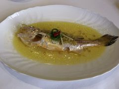 -福1015(愚园路店)