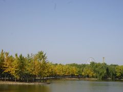 -石家庄市植物园