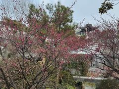 -江宁织造博物馆