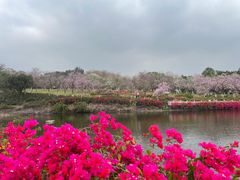 -广州莲花山旅游区