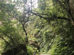 -太鲁阁公园