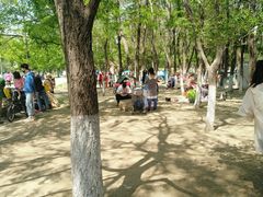 -长白岛森林公园