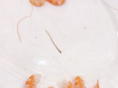 -山东八大碗山东老字号