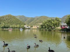 -静之湖度假区