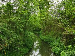 -桤木河湿地公园