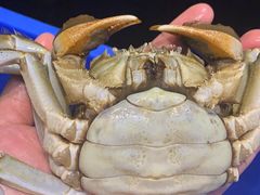 -美味海鲜大排档(明发美食地标店)