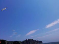 -海驴岛(荣成市)