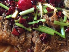 -老板恋上鱼(高新万达店)