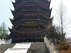 -铁山坪森林公园