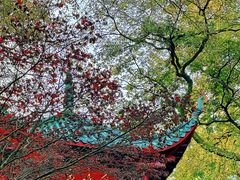 -岳麓山风景名胜区