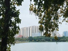 -南宁南湖公园