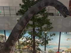 -湖南省地质博物馆