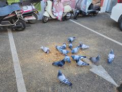 -蠔友汇(皇姑店)