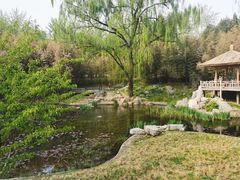 -皇家御河游(紫御湾码头)