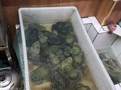 水产区-田园石锅鱼