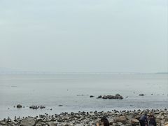 -深圳湾公园(南山区)