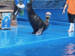 -多彩贵州城极地海洋世界